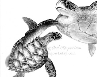 Sea Turtles - 8x10" Giclee Art Print