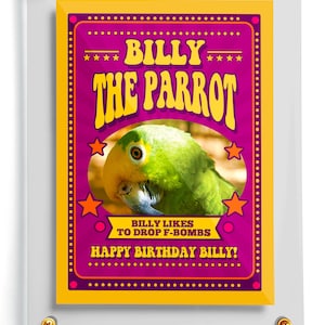 Tarjeta de aficionado a los pájaros / Tarjeta coleccionable de pájaros personalizada + Estuche de acrílico / Regalo para amantes de los pájaros / Tarjeta de aficionado personalizada / Tarjeta coleccionable / Tarjeta coleccionable de loro