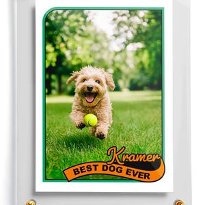 Crea una carta da collezione personalizzata per animali domestici / Carta per fan dei cani + supporto in ferro / Carta per proprietario di cane / Carta da collezione per cuccioli / Carta da collezione per cuccioli / Regalo per amanti dei cani