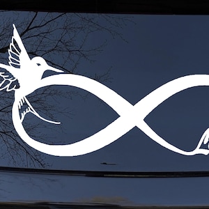 6in X 2.7in Hummingbird Love Infinity Car or Truck Window Laptop Decal Sticker Your Choice Of Colors