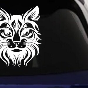 Maine Coon Cat Feline Car or Truck Vinyl Window Decal Sticker image 1