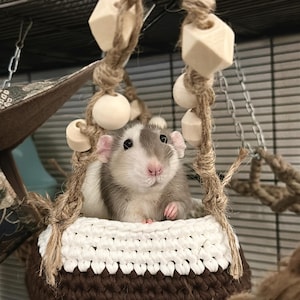 May include: A small, grey and white pet rat sits in a hanging crochet basket. The basket is brown and white, suspended by rope with wooden beads and blocks. The rat has pink ears and a pink nose, inside a wire cage.