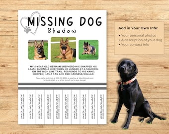 Dog Flyer My Dog Is Chipped And Lost Lost Dog Flyer, Tear-off Flyer  Template, Missing Dog Poster, Lost
