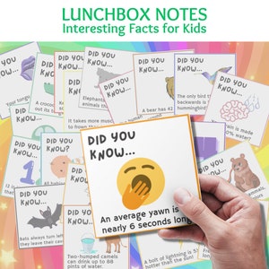 Fatos interessantes Notas de lancheira para crianças, Notas de lancheira infantil, Notas inspiradoras para crianças, Notas de almoço, Notas de volta às aulas