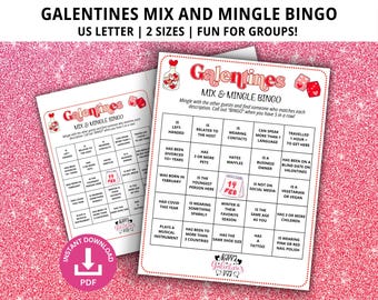 Galentines Mix and Mingle Bingo, Galentines Day Game, Galentines Printable, Galentines Game for Adults, Funny Galentines, Galentines Game