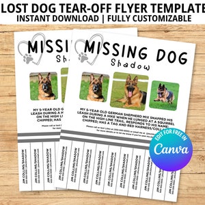 Lost Dog Flyer, Tear-off Flyer Template, Missing Dog Poster, Lost Puppy, Lost Pet, Lost Dog Poster