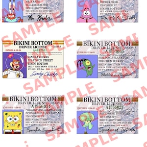 Può includere: Una collezione di sei patenti di guida rettangolari di fantasia di Bikini Bottom con i personaggi dei cartoni animati Mr. Krabs, Patrick Star, Sandy Cheeks, Sheldon J. Plankton, SpongeBob SquarePants e Squidward Tentacles.