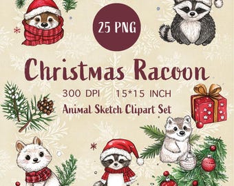 Christmas Racoon Clipart Cartoon