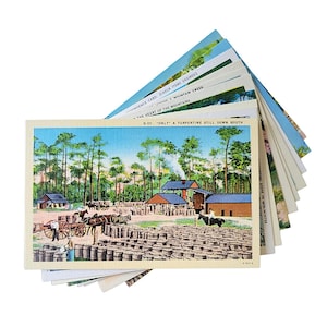 Southern USA Unused Vintage Mid Century Postcards Linen Finish Souvenir Travel Ephemera Lot of 10 Landscape Scenery