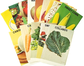 Collection of 14 Unused Vegetable and Fruit Seed Packets Ephemera 1976 NOS Deadstock Corn Collards Carrots Lettuce Vintage Garden Ephemera