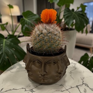 May include: A small cactus with an orange flower sits in a brown pot with three faces. The cactus has green and white spines. The pot is on a white marble table. A large green plant is in the background.