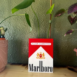 Op de afbeelding: Een hergebruikte Marlboro sigarettendoos gebruikt als plantenbak. De rode, witte en gouden doos heeft het Marlboro logo en tekst. Een groene plant met grote bladeren groeit uit de doos en voegt een vleugje natuur toe.