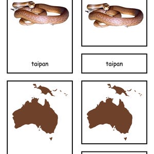 Montessori Three-Part Cards - Australian Animals + Color & Write Booklet - Digital Download