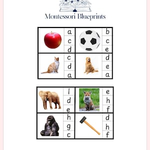 Editable Beginning Phonetic Sound Cards | Digital Template for Classroom Language Curriculum