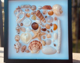 Framed Seashell Art | Costal Beach Decor | Ocean Inspired Wall Hanging