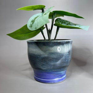 May include: A small, dark blue and purple ceramic planter with a green plant growing inside. The planter has a textured, marbled glaze.