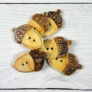May include: A collection of five ceramic buttons shaped like acorns. Each button features a smooth, light tan body and a textured, dark brown cap with a cross-hatched pattern. Every acorn button includes two small holes in the center for attachment.