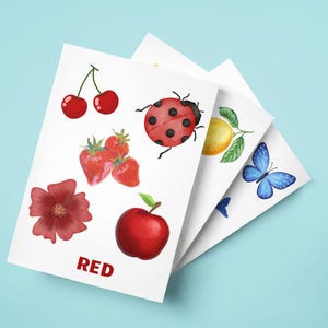 11 Children’s Nature Colour Cards, Kids Learn Colour Cards, Language Development, Color Recognition & Sorting, Gift for Kids