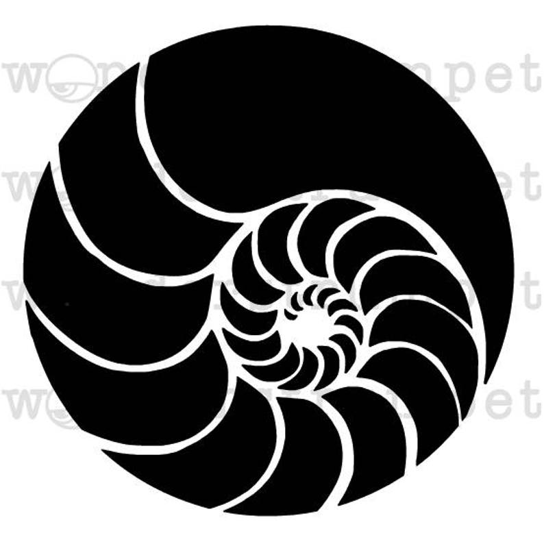 sacred geometry nautilus spiral stencil etsy