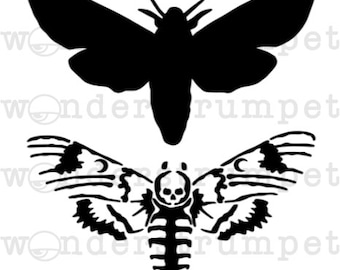 Death's Head Hawk Moth Stencil