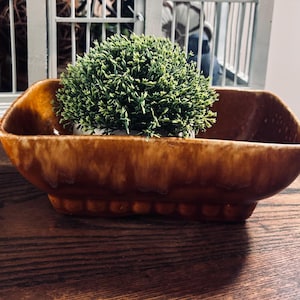 May include: A rectangular, brown ceramic planter with a textured surface. The planter holds a small, green, spherical plant. The planter sits on a wooden surface, with a white and metal cage in the background.
