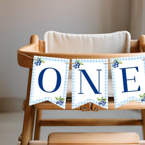 Berry eerste verjaardag één banner, Berry eerste bosbes verjaardagsdecor, bosbes feestbanner, bosbes pastel kinderstoel banner, b09f