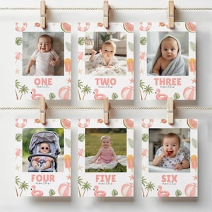 Könnte beinhalten: Ein Set aus sechs Baby-Meilenstein-Fotokarten, jede mit einem anderen Babyfoto. Die Karten sind mit sommerlichen Illustrationen verziert, darunter Wassermelonen, Flamingos und Strandbälle. Jede Karte zeigt einen Monat von eins bis sechs.