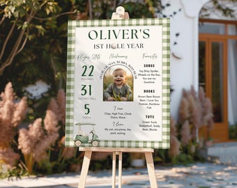 Hole in One Birthday Milestone Poster, Golf First Birthday Picture and Stats Sign, g01b