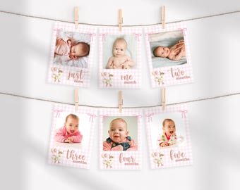 One Silly Goose Birthday Monthly Photo Banner, Silly Goose Them First Birthday Party Decor, Goose Themed 1st Birthday Milestone Banner, s01g