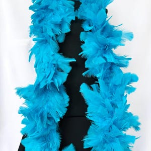 Pode incluir: Um boa de penas turquesa brilhante. O boa é longo e felpudo, e seria perfeito para uma fantasia ou uma festa.