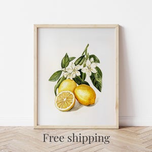 Lemon Art Print Kitchen Decor Botanical Watercolor Painting Framed Canvas Gift Idea Housewarming Art Dining Room Wall Decoration Gift Couple