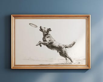 Puede incluir: Una impresión en blanco y negro enmarcada de un perro saltando para atrapar un frisbee. El perro está en el aire, con la boca abierta, concentrado en el disco volador. La obra de arte está en un marco dorado, sobre un fondo azul.