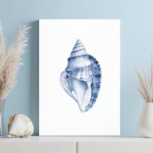 Seashell Wall Art Print Blue Coastal Design Beach House Decor Gift Idea For Her New Home Wall Decor Living Room Watercolor Art Bedroom Print