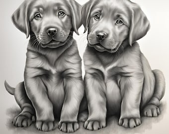Filhotes de Labrador, Amor de Cachorro, Amante de Animais, Impressão Digital