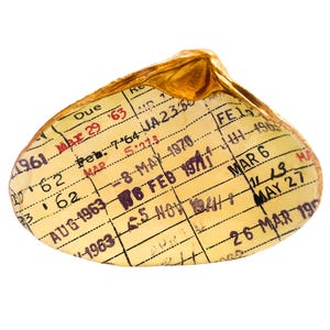 Library Checkout Card Decoupage CLAM shell, Jewelry Dish Catchall, Coastal Decor, book lover unique gift, 1960s, 1970s, vintage, retro