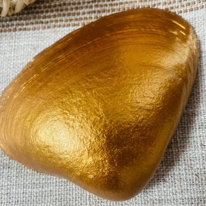 May include: A golden-colored, shell-shaped decorative object. The shell has a textured surface and is painted with a metallic gold finish. The shell is resting on a textured, light-colored fabric.