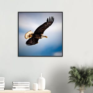 Águila en el cielo Arte Dibujos animados Águila Imagen Vida silvestre Animal Art Decó Interior Animal Amante Impresión Para Amantes de las Águilas Amantes de las Aves