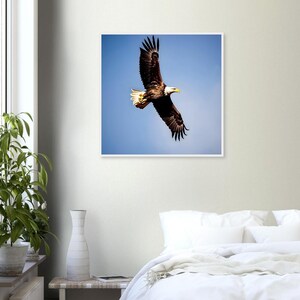 Águila en el cielo Arte Dibujos animados Águila Imagen Vida silvestre Animal Art Decó Interior Animal Amante Impresión Para Amantes de las Águilas Amantes de las Aves