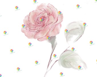 Dusty Pink Rose Stem