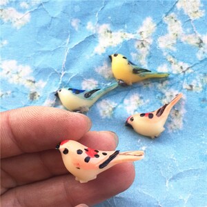 10pcs 28x12mm assortiment résine moineau oiseaux cabochon / camées / cabines