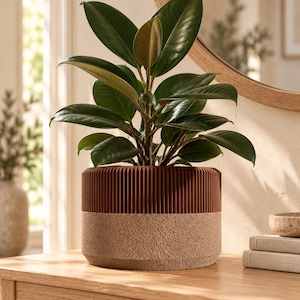 May include: A rubber plant with glossy, dark green, oval-shaped leaves potted in a cylindrical planter. The planter features a two-tone design with a vertically ribbed dark brown upper section and a textured, light beige granular lower base.