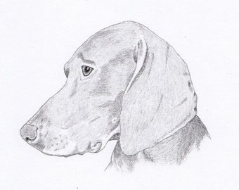 Weimaraner Signed Personalized Original Pencil Drawing Matted Print -Free Shipping- Desert Impressions