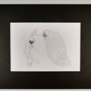 Bearded Collie Signed Personalized Original Pencil Drawing Matted Print Free Shipping Desert Impressions image 2