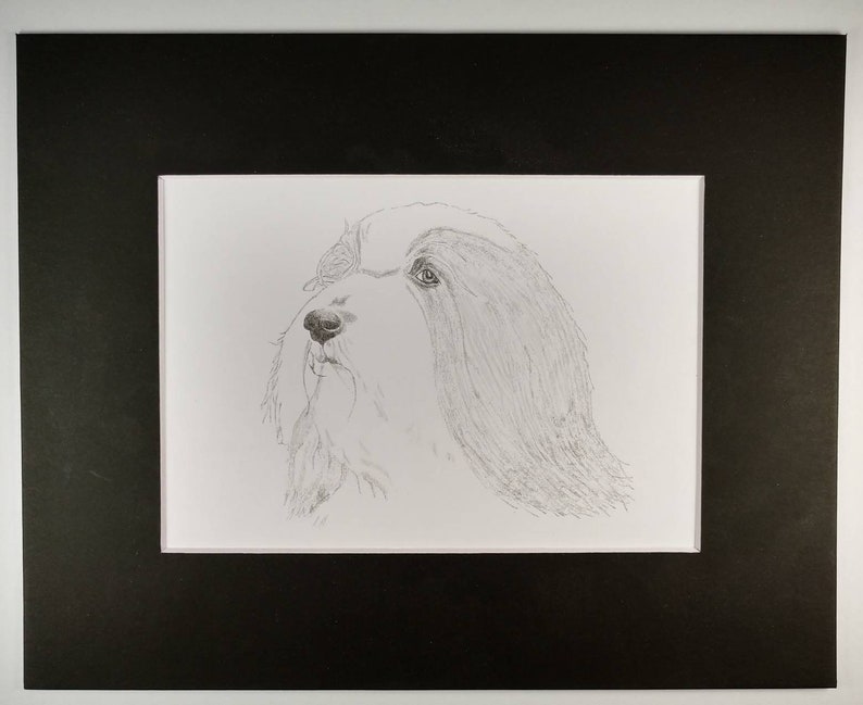 Bearded Collie Signed Personalized Original Pencil Drawing Matted Print Free Shipping Desert Impressions image 2