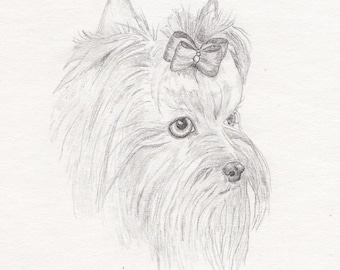 Yorkie Signed Personalized Original Pencil Drawing Matted Print -Free Shipping- Desert Impressions