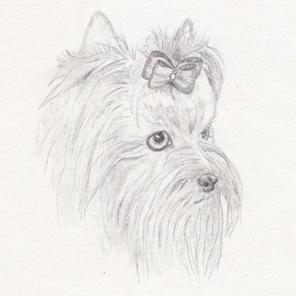 Yorkie Signed Personalized Original Pencil Drawing Matted Print -Free Shipping- Desert Impressions