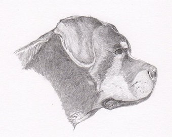 Rottweiler Signed Personalized Original Pencil Drawing Matted Print -Free Shipping- Desert Impressions