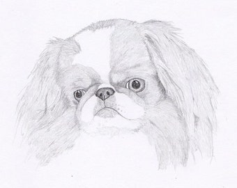 Japanese Chin Signed Personalized Original Pencil Drawing Matted Print -Free Shipping- Desert Impressions