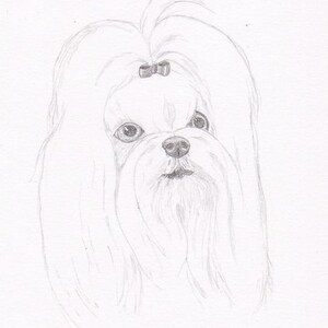 Maltese Signed Personalized Original Pencil Drawing Matted Print -Free Shipping- Desert Impressions