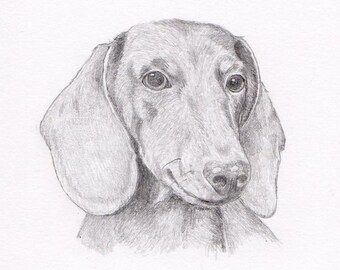 Dachshund Doxie Signed Personalized Original Pencil Drawing Matted Print -Free Shipping- Desert Impressions